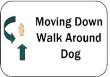 Moving Stand, Walk Around Dog: At handler s command and/or signal, dog stands and stays in place while handler continues moving and walks around dog.