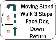Moving down, Walk Around Dog: At handler s command and/or signal, dog downs and stays in place while handler continues moving and walks around downed dog.