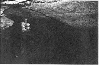 Dick's Hole was a "blue hole" that consisted of a karst spring that emerged from under a rocky ledge to form a small pool.