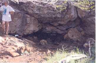 The entrance to the cave spring was almost completely submerged, limiting human access. The vegetation on the rocky outcrops above the spring was cactus-thorn scrub (see Asprey and Robbins, 1953).