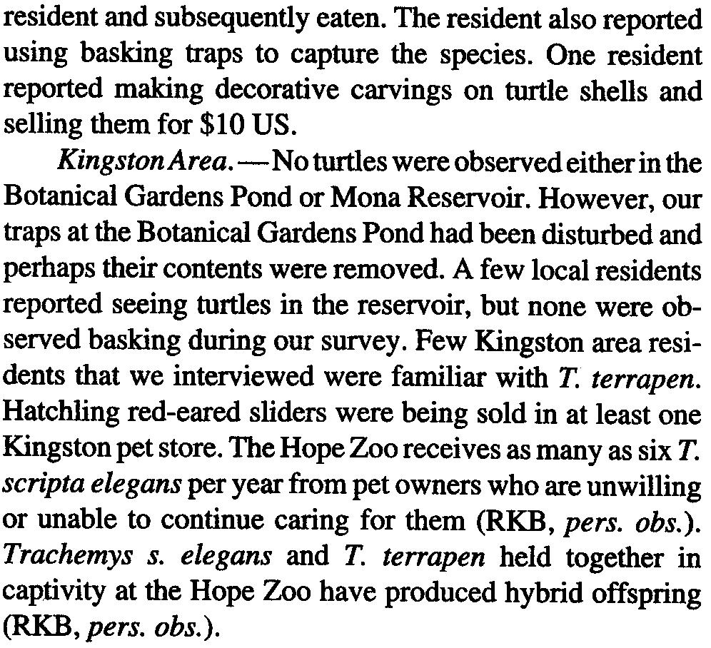 914 CHELONIAN CONSERVAnON AND BIOLOGY, Volume 4, Number 4-2005 resident and subsequently eaten. The resident also reported using basking traps to capture the species.