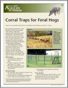 Additional Resources http://feralhogs.