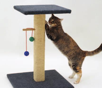 scratching post Give your cat a special place to scratch. Cats Need to Scratch Cats like to scratch things with their nails. That is how they keep their nails sharp.