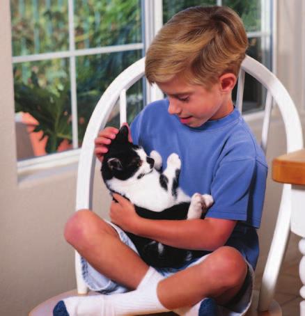 cat The boy has a cat for a pet. A Fun Pet A cat is a fun pet. Do you have a cat?