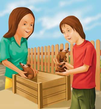 She and Jack coaxed the badgers into a large wooden box and loaded it onto the back of a fourwheeler.