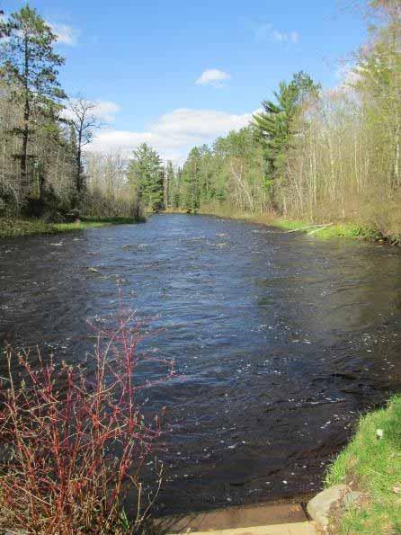 Aquatic Habitat Moderate to fastflowing rivers in forested