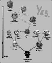 Geography 316.01 Dr. B. Holzman Human Impact Human population 3.75 MYA East Africa (Australopithecus) 2 MYA (4?
