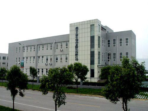 Overview Headquartered in Xi an, Shaanxi Province, Central China 200+ Employees Engaged in the: