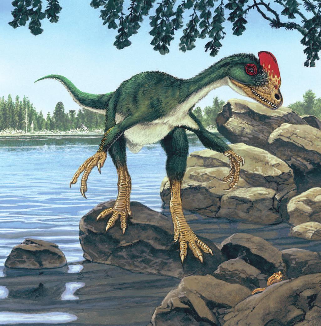 GUANLONG Pronunciation: gwahn-lawng Even though it was only the size of a stork or heron,