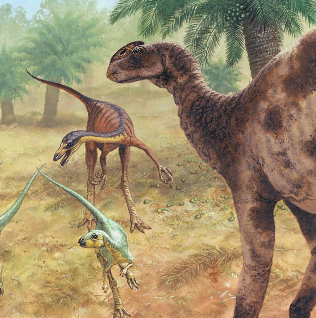 LIFE IN AUSTRALIA Dinosaurs lived between 230 million and 65 million years ago.