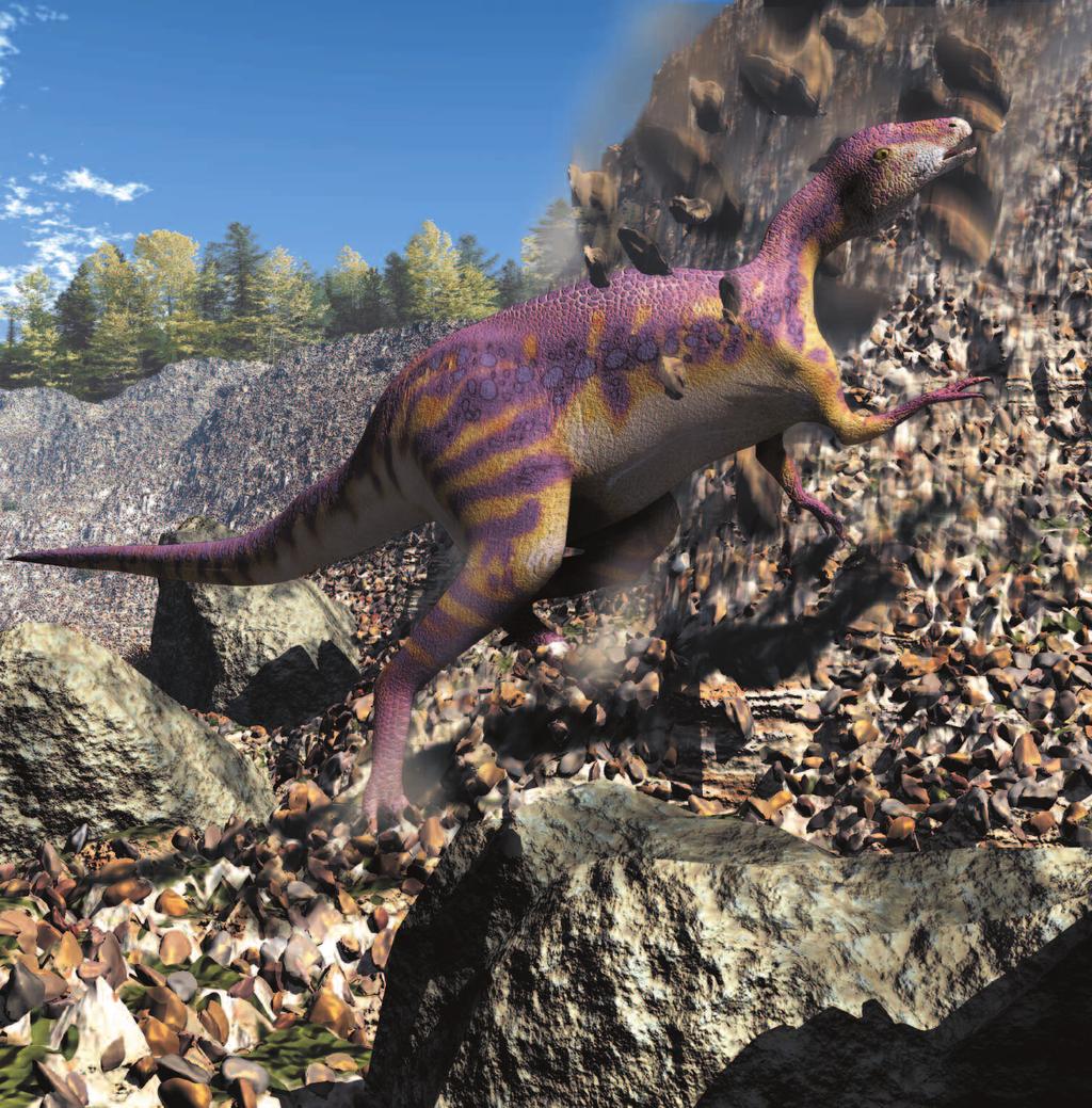 Atlascopcosaurus had a long tail and long legs, which helped it outrun dinosaurs on the hunt for