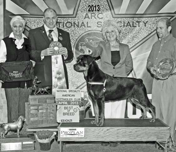 ARK American Rottweiler Club 33rd National Specialty 2013 Supplement Best In Specialty Show &