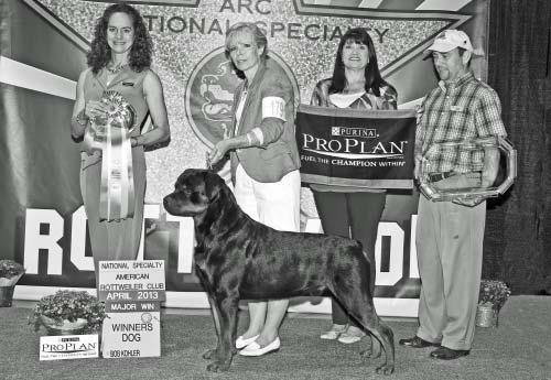 Winners Dog & Best Of Winners