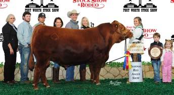 The sire of the embryos is the BAR-E-L High Tide 63C bull who was Intermediate Ch. bull at the 2015 Canadian Western Agribition and Res. Ch Junior bull at the 2016 NWSS.