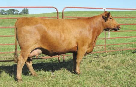 1 63 99 23 1 14 1 9 0.44 0.02 27 0.18 0.01 26 Selling 1 Package of 4 Heifer Sexed Embryos Guarantee of 1 Pregnancy per Mating If put in by an AETA Certified Tech.
