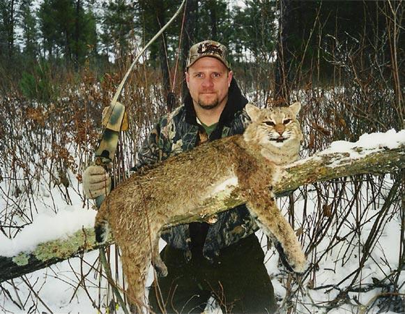 Lynx rufus (bobcat) Physical