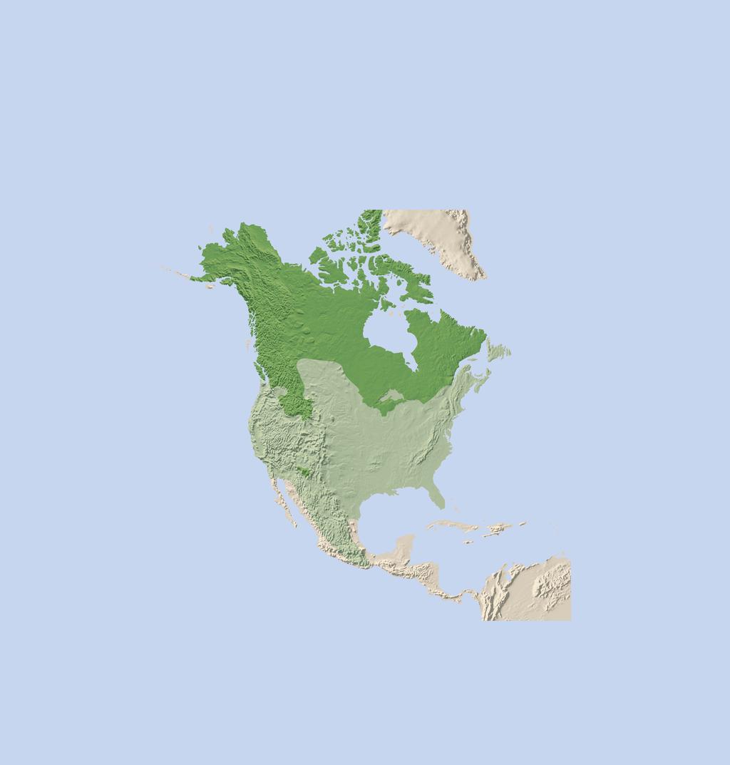 North America North WolfAmerica Range In North America: