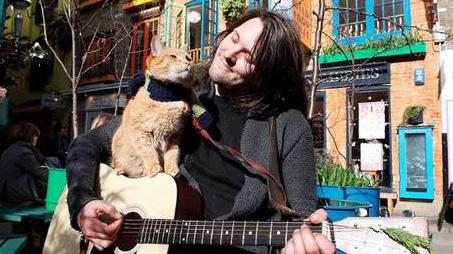 Sentence by Sentence An Entertaining Duo James Bowen plays his guitar on the street for money, and his cat Bob is always with him.