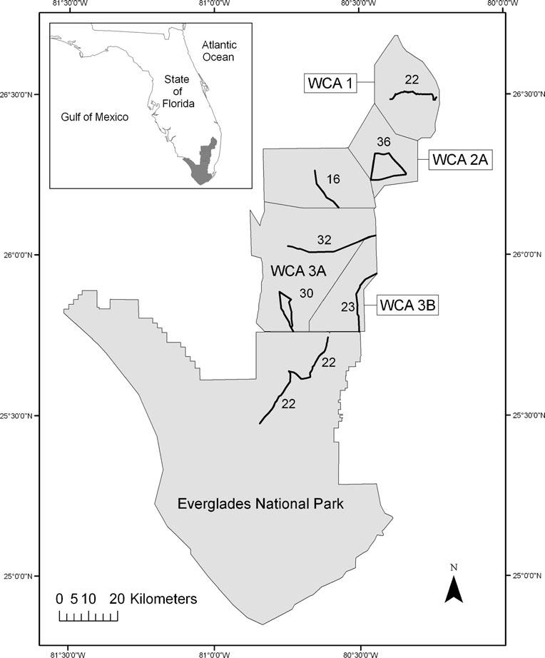 Wetlands (2011) 31:147 155 149 Fig. 1 Location of survey routes in each subarea within the study area (the Everglades marsh) and their location within the state of Florida.