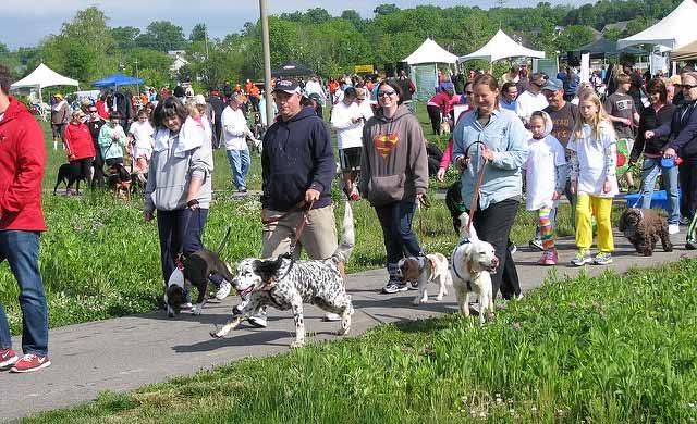 Hill s Pet Nutrition presents 2017 Waggin Trail Festival for the Animals Kentucky Humane Society Waggin Trail JUNE 11 Festival for the Animals Louisville Water Tower Sunday, June 11, 2 6 p.m. Walk, games, pet booths, food, music, contests!