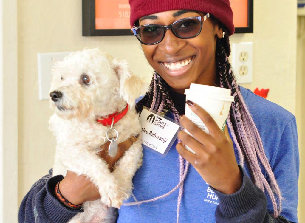 40,449 Volunteer Hours We are overachievers at Berkeley Humane, and every day we strive to do far more than is possible with our small but nimble staff.