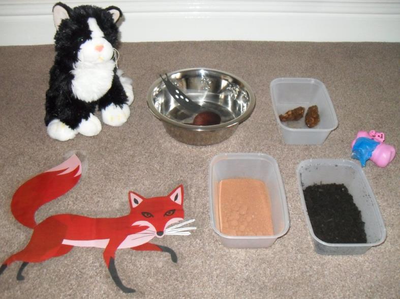Activity 4: Worm detectives - ~20 mins. This activity aims to investigate the problem of worms. This is a group activity, and ideally children should be split into 5 equally-sized groups.