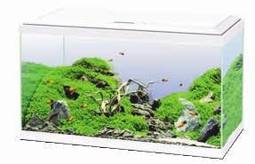 An aquarium endowed with complete equipment for discovering aquarium keeping in confident fashion,