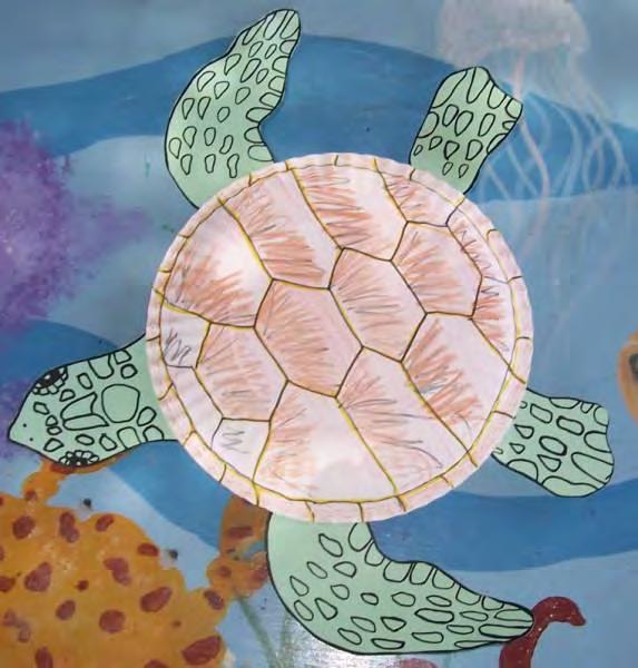 Post Lesson: Sea Turtle ID Supplies: turtle plate cut-out sheet, Sea Turtle Carapace Identification sheet, Sea Turtle Profile Cards, paper plates, scissors, glue, markers/crayons Goal: Understand