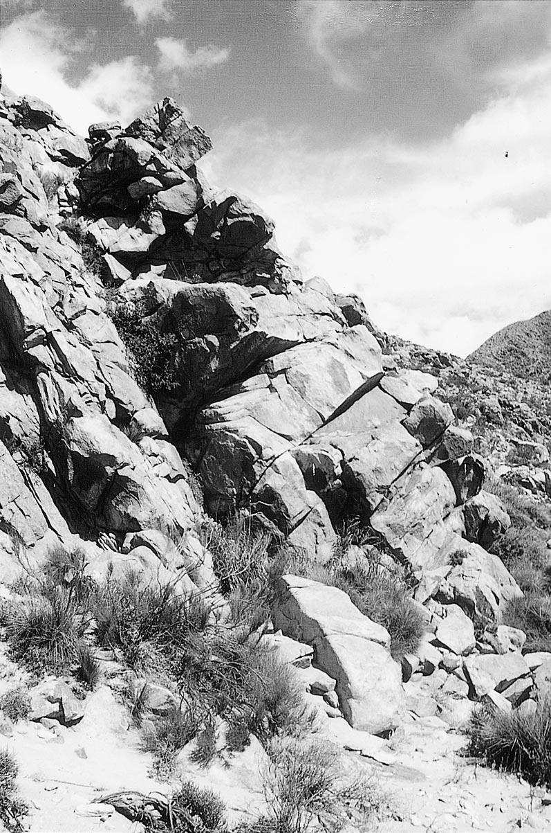100 HERPETOLOGICA [Vol. 59, No. 1 FIG. 6. Granite hillsides of Quebrada Randolfo, Departamento Antofagasta, Catamarca Province (26 51.456 S, 66 44.