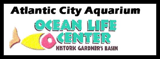 Fish Tales A T L A N T I C C I T Y A Q U A R I UM Atlantic City Aquarium 800 N. New Hampshire Avenue Atlantic City, NJ 08401 609-348-2880 www.acaquarium.