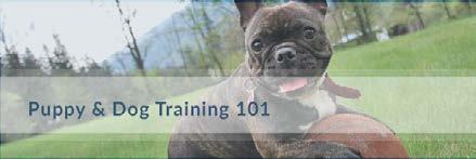 Puppy and Dog Training 101 Don t Take Good Behaviours for Granted The best way for your puppy to learn to do what you want is by rewarding them when they have done something acceptable.