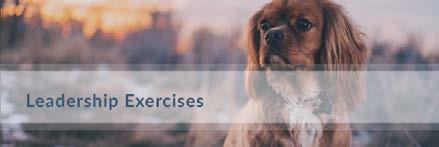 Leadership Exercises You will want to keep these rules in place until you have good control of the puppy or dog, and they dependably listen and respond to commands.