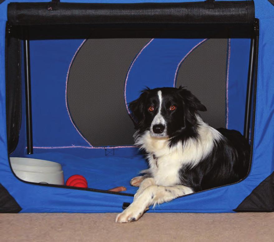 Indoor kennel The most popular and convenient indoor kennel is the fold down weld mesh type.