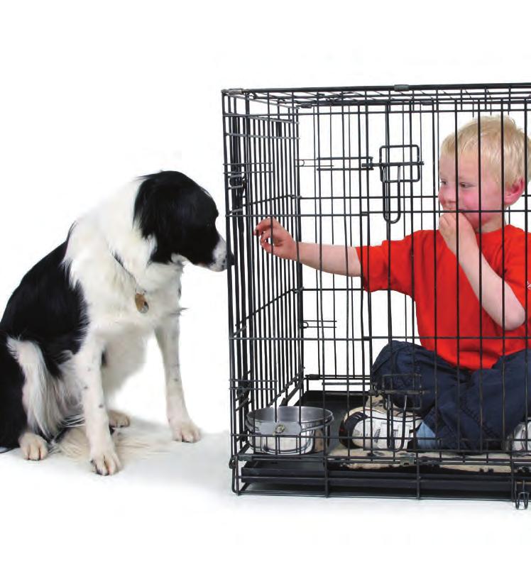 If your dog is introduced gradually to the kennel and you make every encounter pleasant you should not experience any problems.
