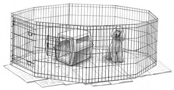 130 Part III: Training and Having Fun with Your Poodle Pal 3. Put your puppy s crate in the area; leave the door open for naps, and supply water and a few toys. 4.