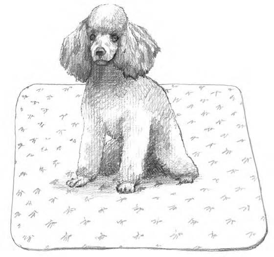 134 Part III: Training and Having Fun with Your Poodle Pal Figure 9-3: A pad for your Poodle can help with indoor training.