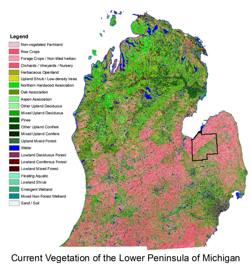 Current vegetation map of MI.
