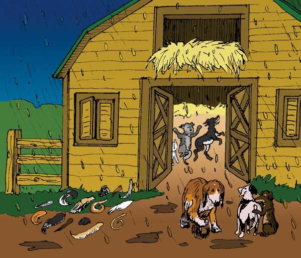 Someone suggested that they move the party to a barn near the hill. Wet and muddy cats and dogs soon arrived at the small barn.