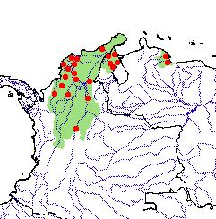 Emydidae Trachemys callirostris 042.3 Figure 5. Distribution of Trachemys callirostris in Colombia and Venezuela in northwestern South America.