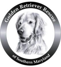 Adoption Application Thank you for your interest in adopting a golden retriever. Please review our Adoption Guide then complete this application to help us match you with a golden.