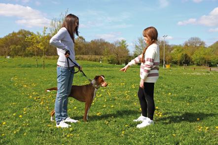 Staying safe around dogs when out and about Even if you don t own a dog, there is plenty you can teach your kids about staying safe around dogs they meet in their everyday life.