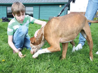 BE DOG SMART! Here are tips to remind kids how to prevent dog bites.
