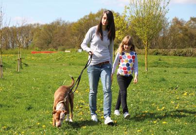 HELPING Everyone BE DOG SMART! Dogs Trust are offering FREE workshops for parents and children to ensure children and dogs can live together safely and happily at home and in the community!
