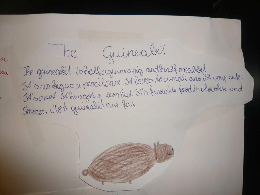 The Guineabit is partly guinea pig and partly rabbit. It is as big as a pencil case.