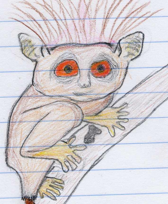 The Monkissimo was a kind of monkey. It lived in the jungle nearby Atlantis.
