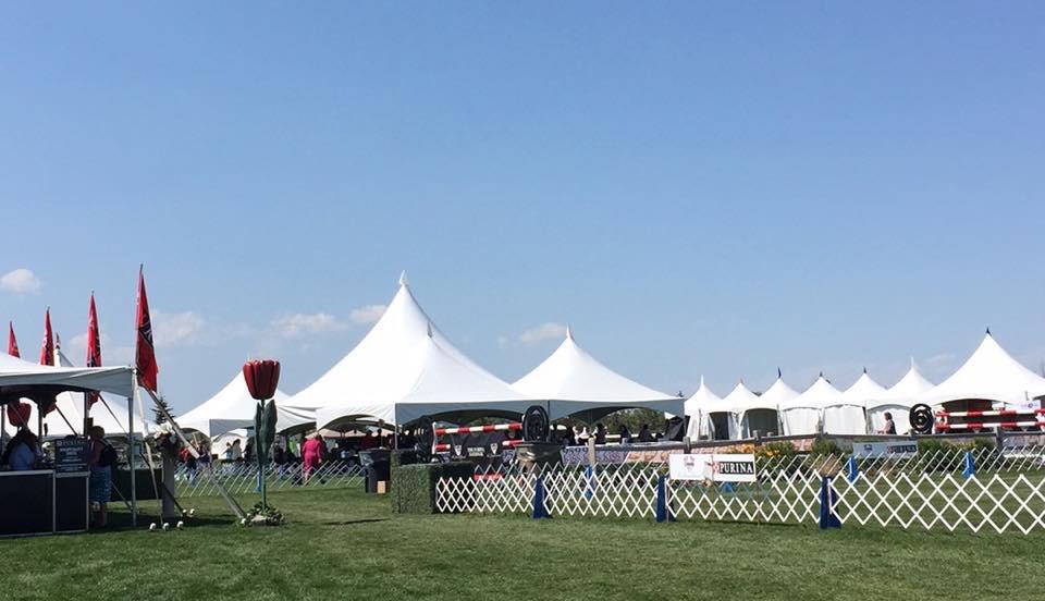 MSCC NATIONAL SPECIALTY SHOW 2015 Spruce Meadows show venue. Best Puppy: Ch.