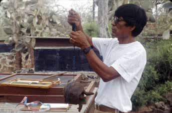 In 1971, after working as a field assistant for scientists at the Charles Darwin Research Station, Fausto joined the Galapagos National Park Service as a park ranger.
