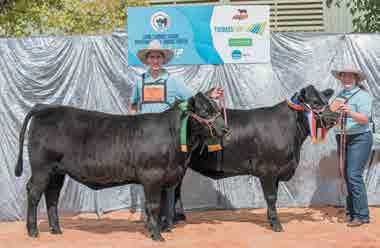 price of $52,000 at the 2017 Banquet Angus bull sale The team involved with the success of