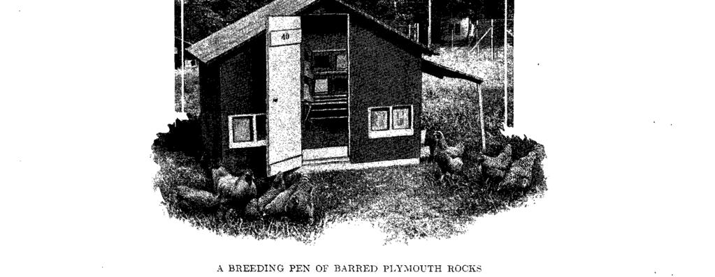 POULTRY BREEDING RECORDS. 1 WILLIAM A. LIPPINCOTT. INTRODUCTION.