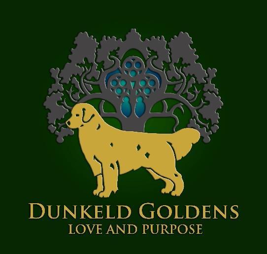 Dunkeld Goldens- Puppy Application Please complete and email to: dunkeldgoldens@gmail.com Please complete this application in its entirety.